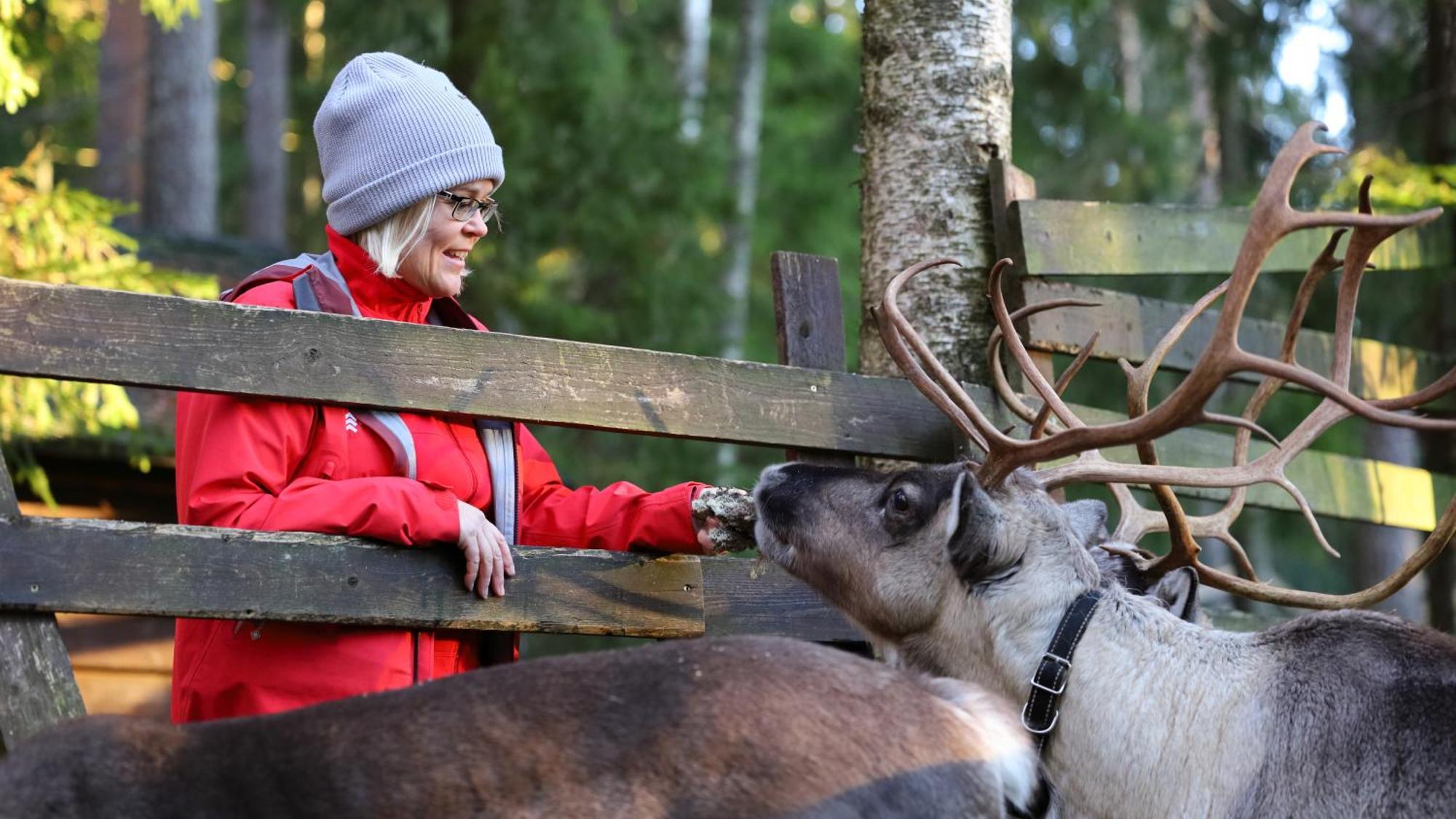 Haltia Lake Lodge Nature Boutique Hotel & Glamping Espoo Ngoại thất bức ảnh